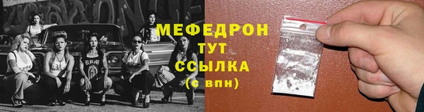 мдпв Бородино