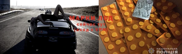 мдпв Бородино
