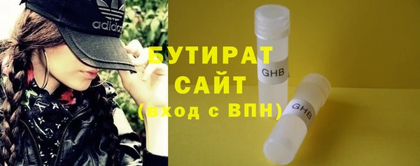 мдпв Бородино