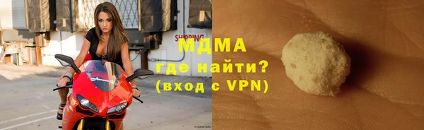 мдпв Бородино