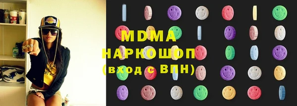 мдпв Бородино