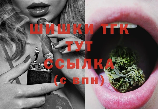 мдпв Бородино