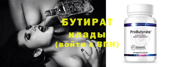 мдпв Бородино