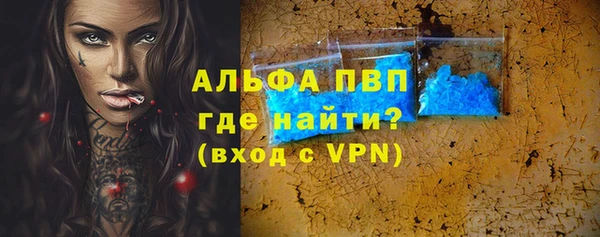мдпв Бородино