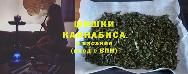 амф Бронницы