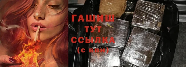 мдпв Бородино